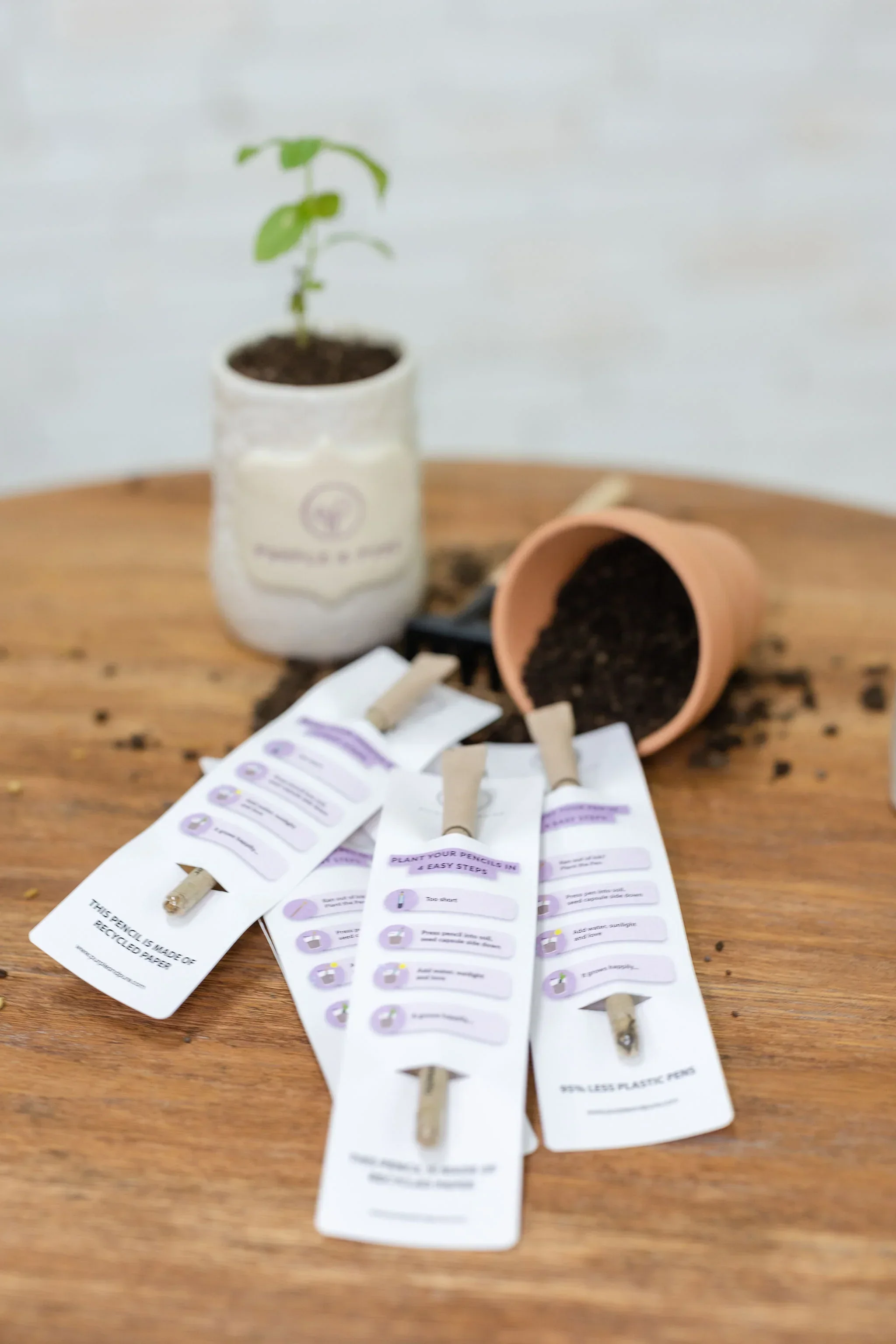 PURPLE AND PURE | EcoGrow Pen - Image 3
