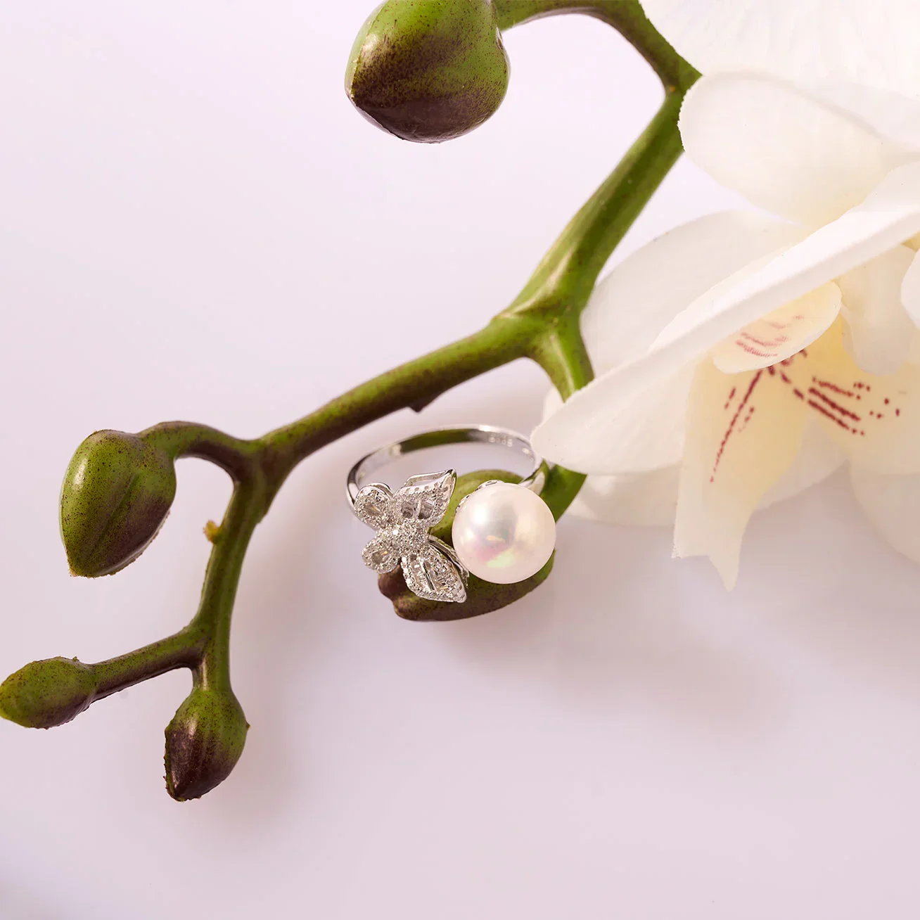 PEARLY LUSTRE | Elegant Freshwater Pearl Ring WR00080 | GARDENS - Image 2