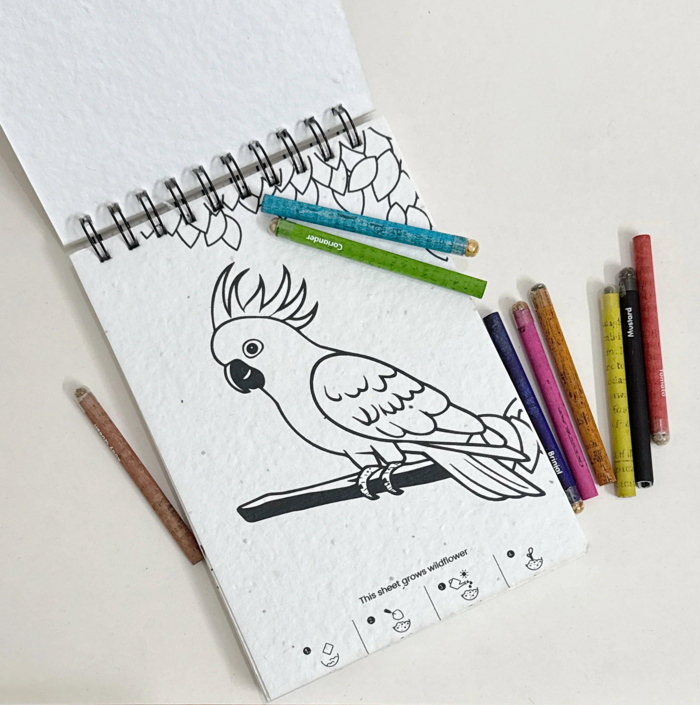 PURPLE AND PURE | Plantable Colouring Book For Kids - Zoo Edition - Image 2
