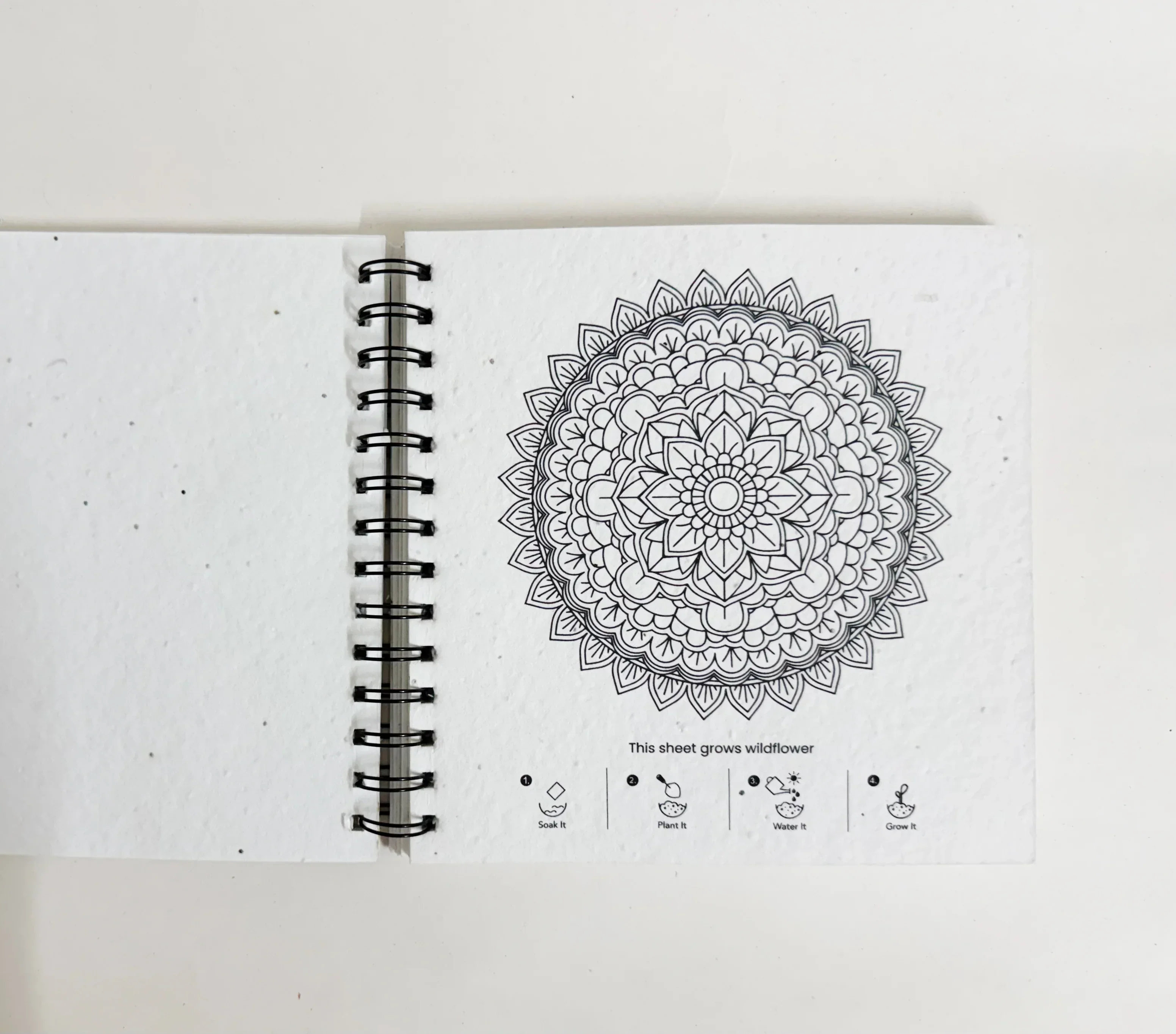 PURPLE AND PURE | Plantable Mandala Colouring Book - Image 3