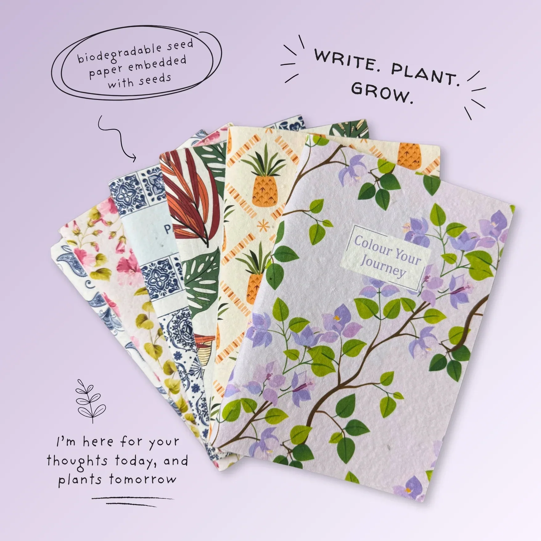 PURPLE AND PURE | Plantable Notebook Gift Set - Bouganvillea Blush - Image 2
