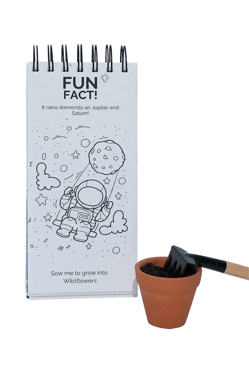 PURPLE AND PURE | Outer Space Plantable Colouring Book