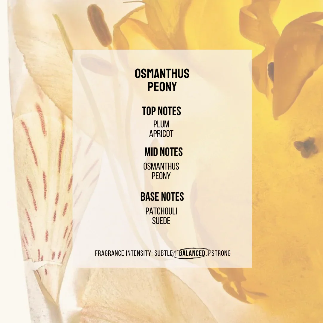 SOUL GOOD PROJECT | Reed Diffuser Set - Image 11